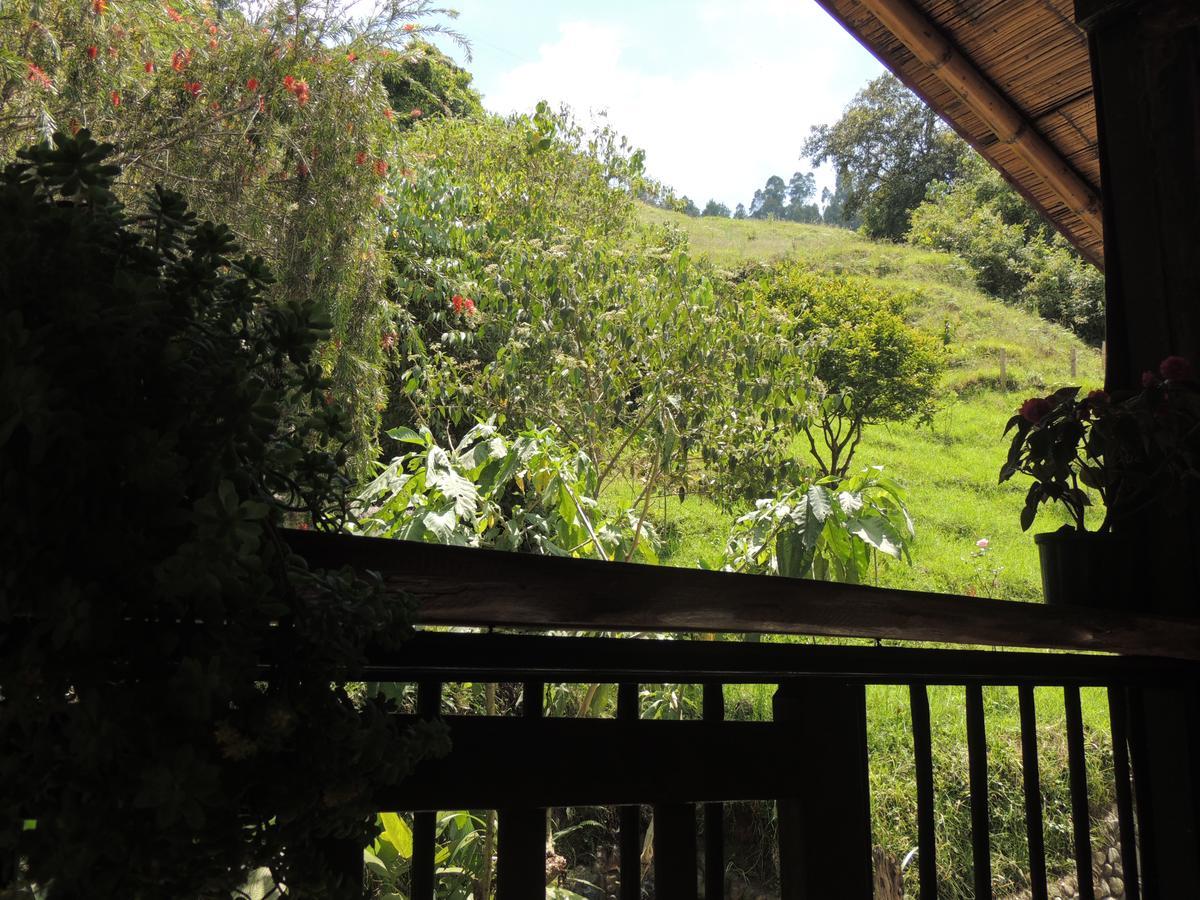 Ecorefugio Las Mirlas Salento Exterior photo